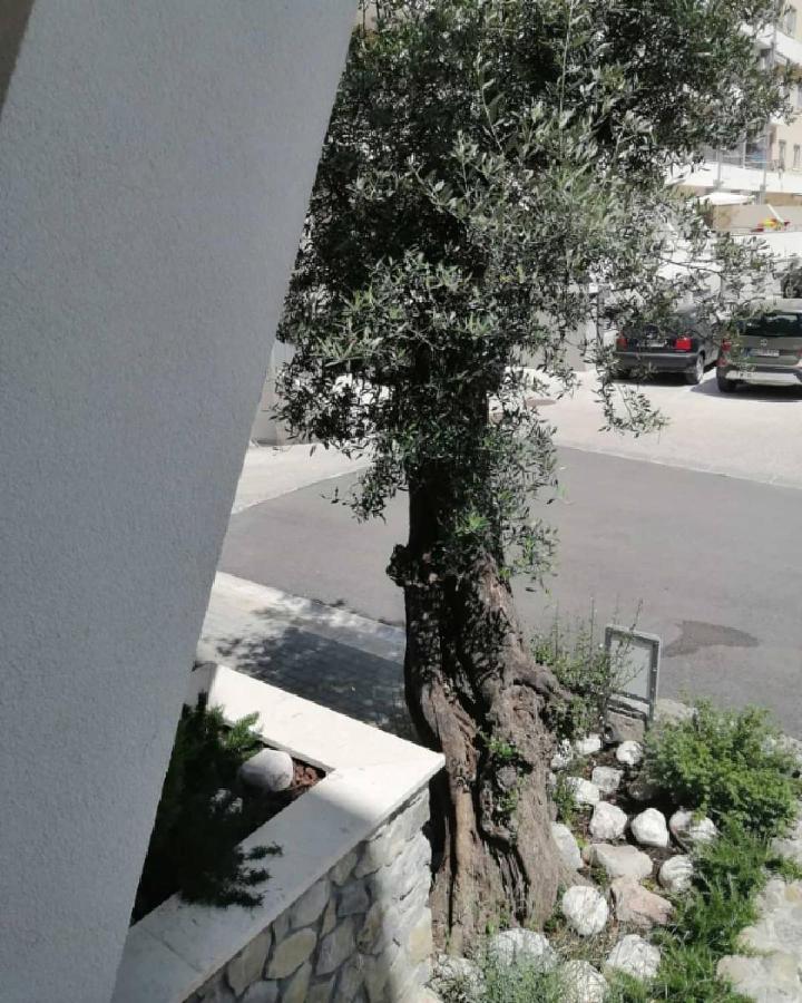 Mondi Azzurri Apartman Budva Kültér fotó